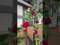 20 ফুট ড্যানোপি ভাঁজ ঘর